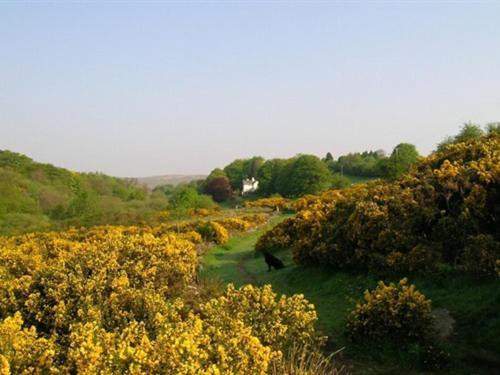 Lydgate House Hotel Postbridge Extérieur photo
